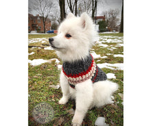 Load image into Gallery viewer, SMALL - Pet sweaters
