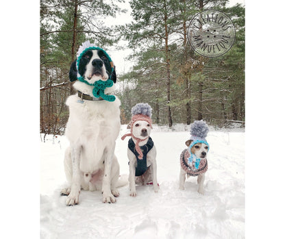 LARGE - Pet hats