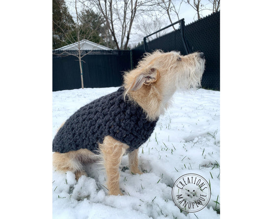 Manteau pour Chien ou Chat - Fait Main au Québec